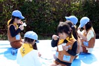 市川６団ビーバー隊