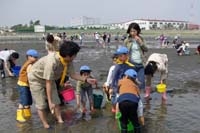 市川６団ビーバー隊潮干狩り