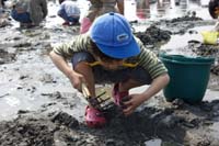 市川６団ビーバー隊潮干狩り