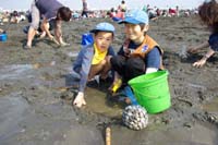 市川６団ビーバー隊潮干狩り