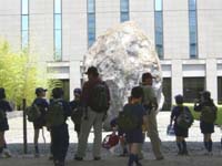 市川６団カブ隊