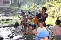 ボーイスカウト市川６団ビーバー隊