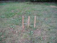 ボーイスカウト市川6団ボーイ隊