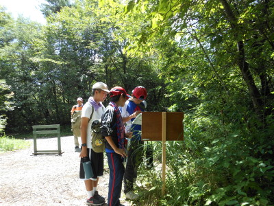 ボーイスカウト市川6団