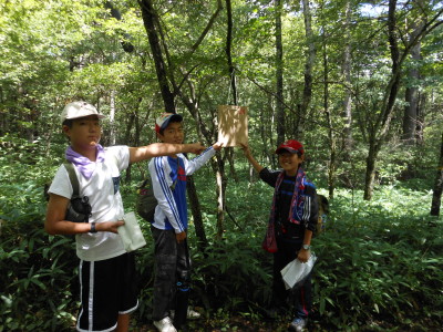 ボーイスカウト市川６団