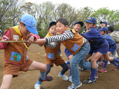 ボーイスカウト市川６団