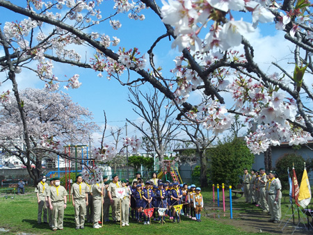 ボーイスカウト市川６団